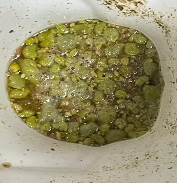 détox du foie, dépôts visibles dans la cuvette des toilettes 